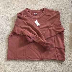 Aerie crop rust sweatshirt BNWT